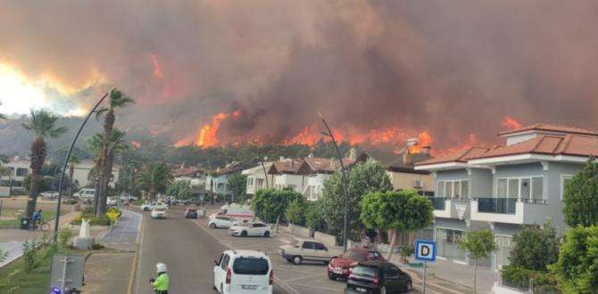 Muğla Büyükşehir, Marmaris’teki yangınla ilgili son bilgileri paylaştı