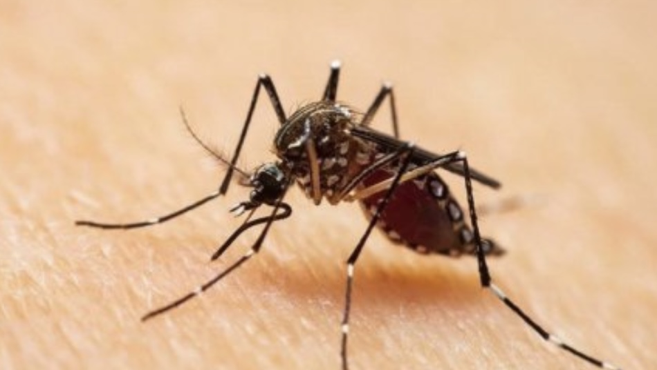 8E58A864-2AA6-42E9-BB92-8C86B33BDE80