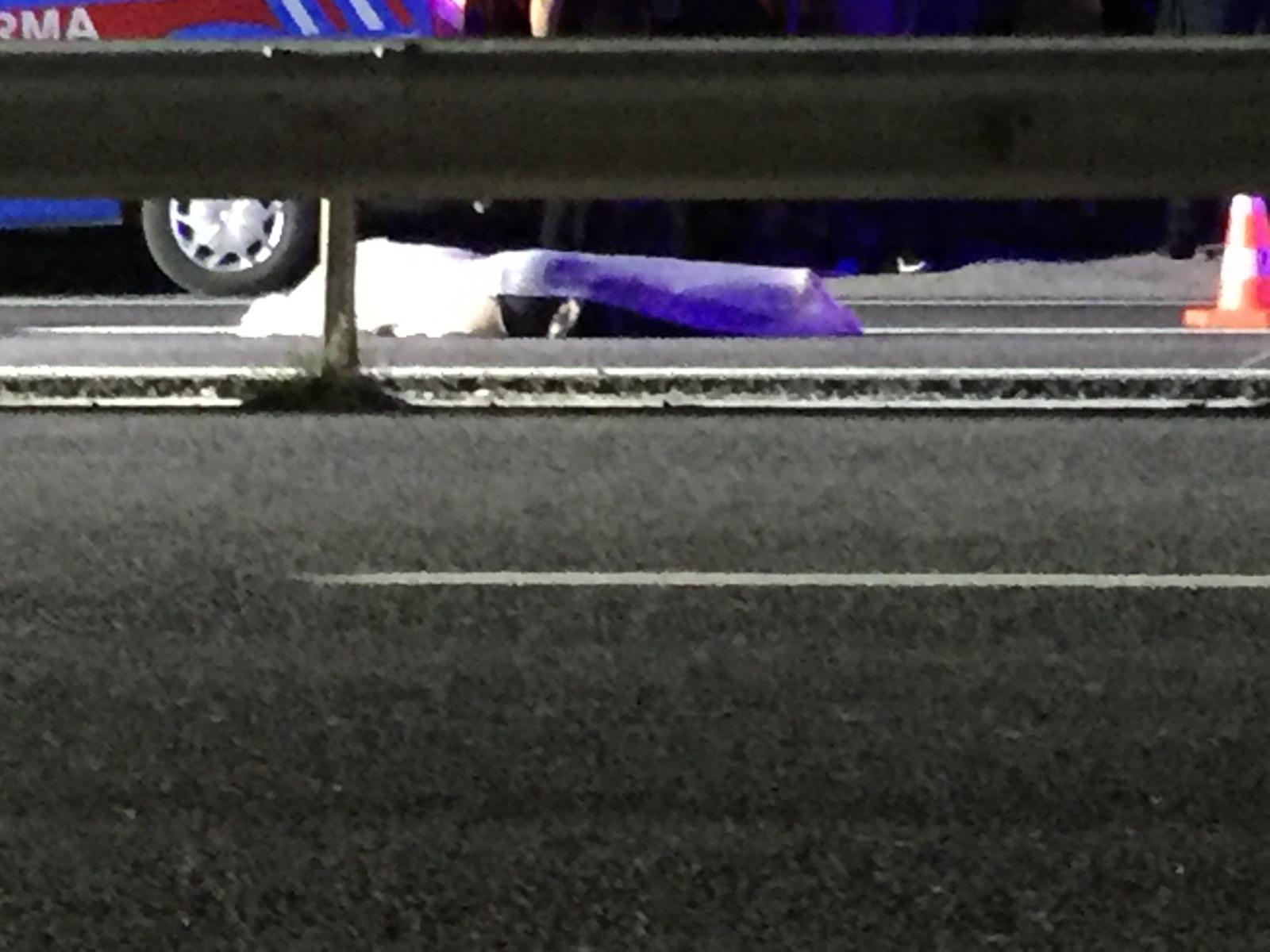 727EFA08-344E-4F50-BA2E-CFBCDFEE69D0