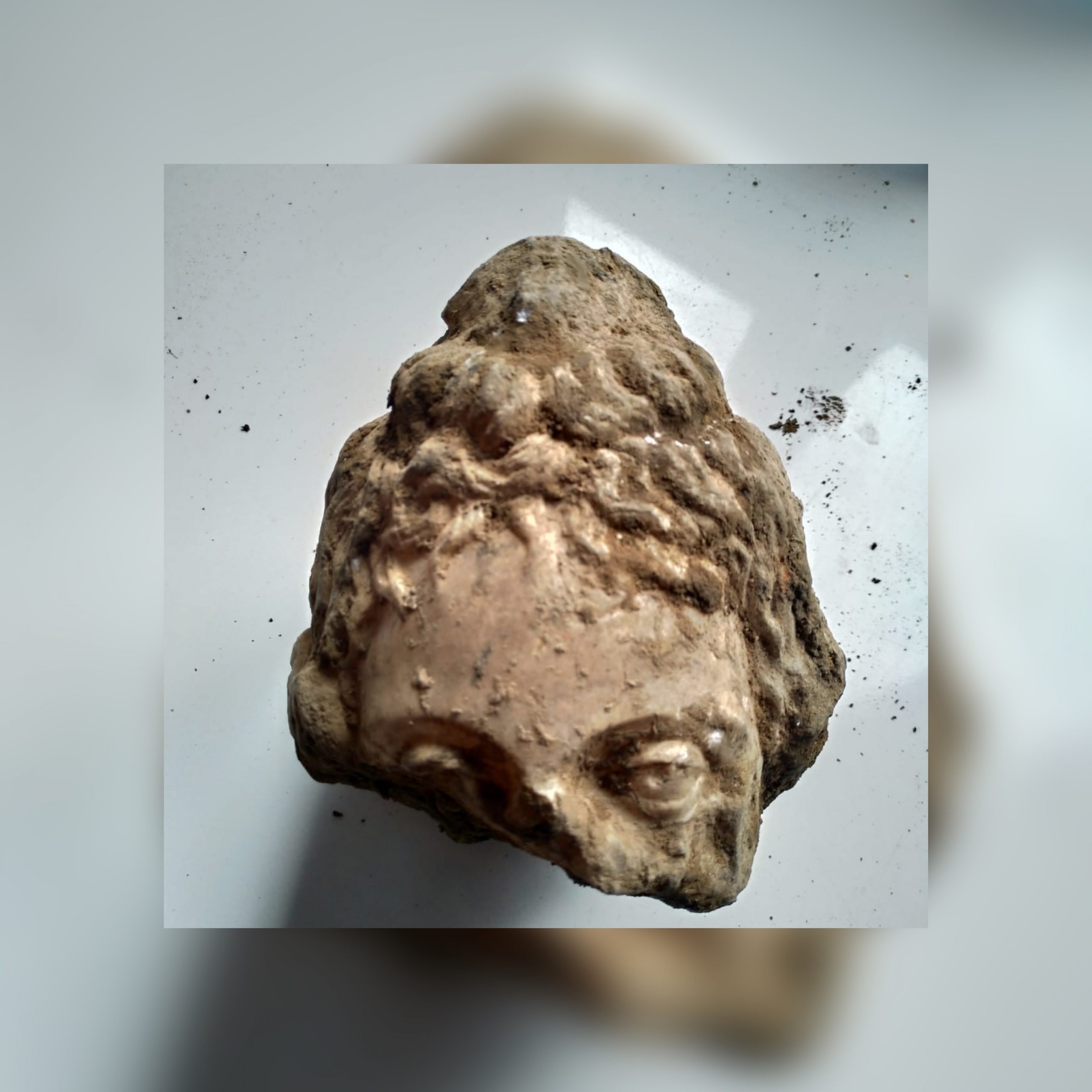 FD655D59-F1DA-48D5-83C0-37D13AE0D55B