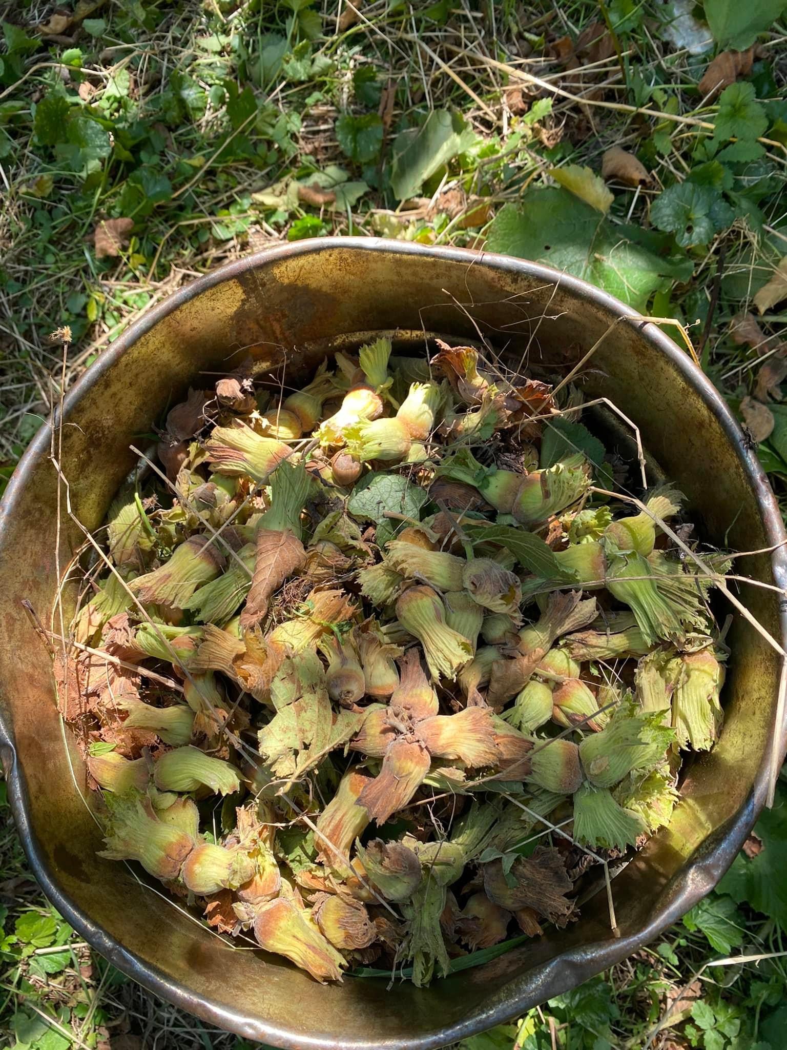 3AC1859F-1FCF-4C8F-9050-63706914A7DD