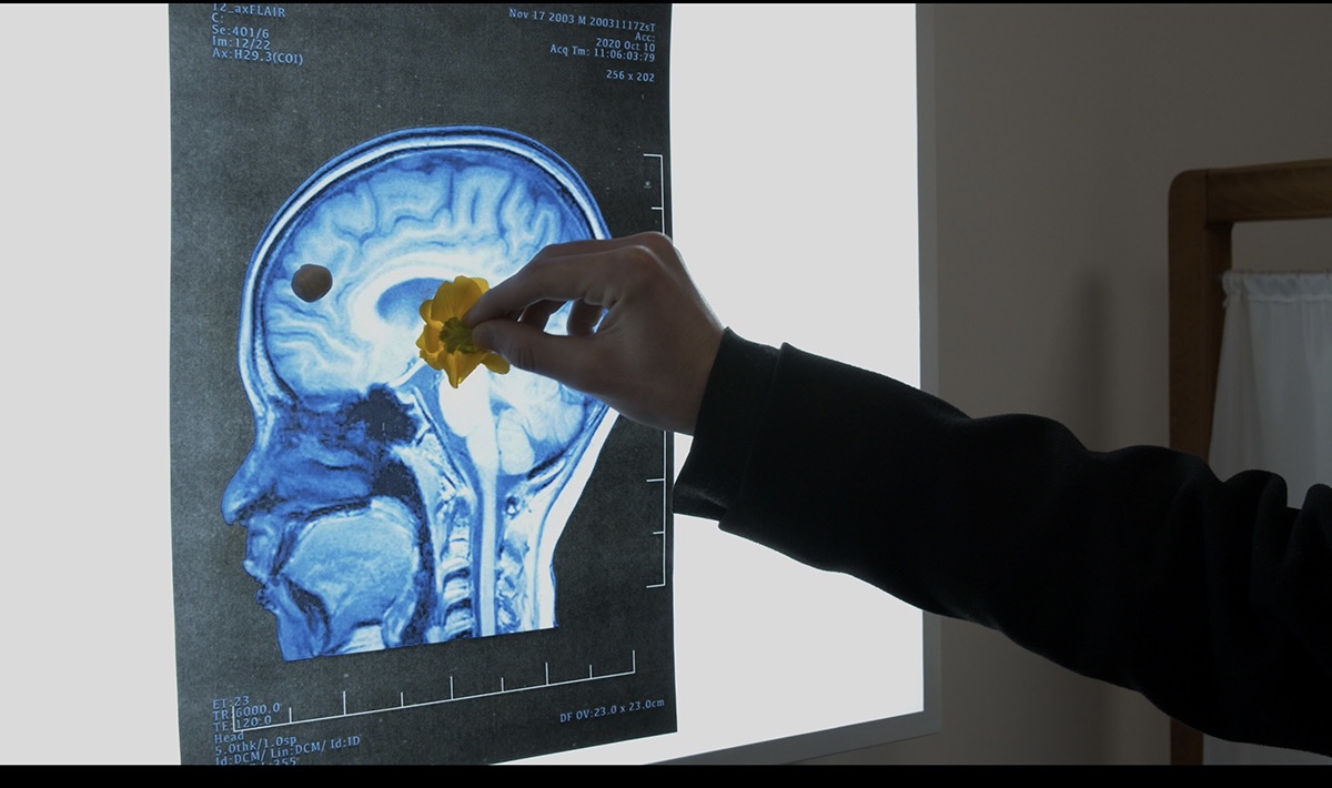 9775DC54-6BEC-45F3-9C11-B1480CE51B17