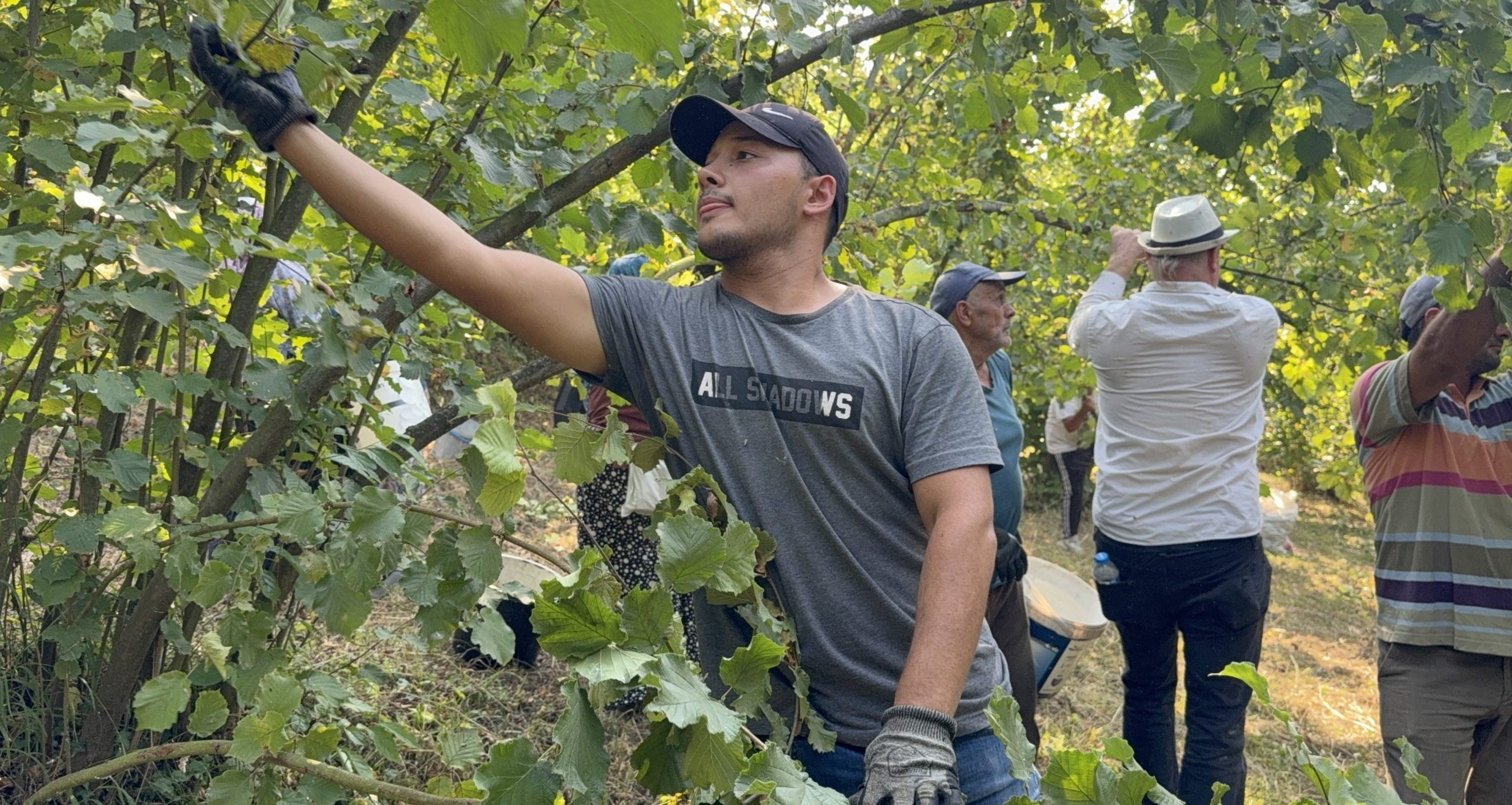 Görsel açıklaması bulunamadı