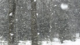 DÜZCE'NİN YÜKSEK KESİMLERİNDE KAR KALINLIĞI 1 METREYİ BULDU