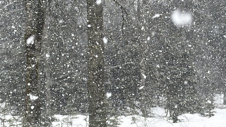 DÜZCE'NİN YÜKSEK KESİMLERİNDE KAR KALINLIĞI 1 METREYİ BULDU