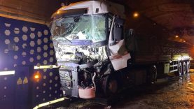 Görsel açıklaması bulunamadı