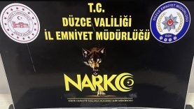 DÜZCE'DE UYUŞTURUCU TİCARETİ YAPAN 1 KİŞİ TUTIKLANDI